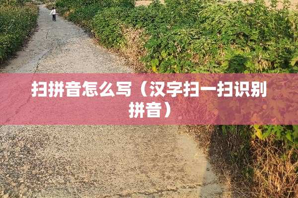 扫拼音怎么写（汉字扫一扫识别拼音）