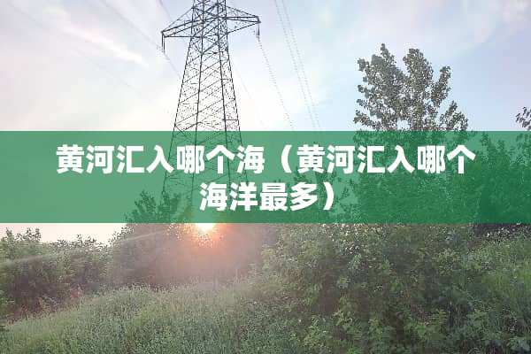 黄河汇入哪个海（黄河汇入哪个海洋最多）