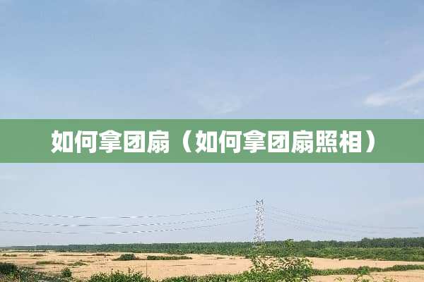如何拿团扇（如何拿团扇照相）