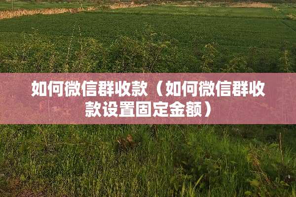 如何微信群收款（如何微信群收款设置固定金额）