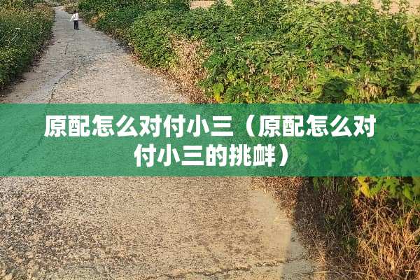 原配怎么对付小三（原配怎么对付小三的挑衅）