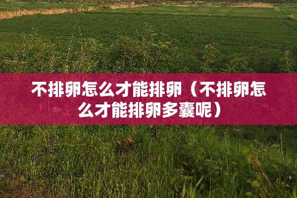 不排卵怎么才能排卵（不排卵怎么才能排卵多囊呢）