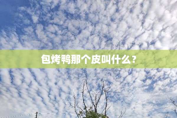 包烤鸭那个皮叫什么？