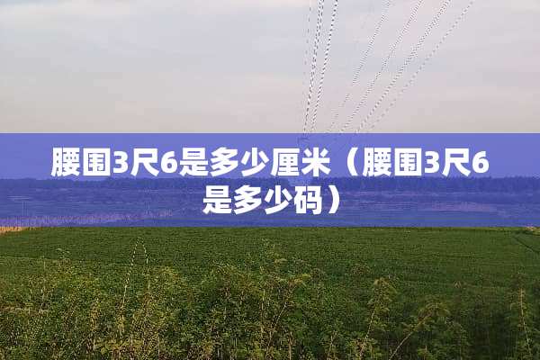 腰围3尺6是多少厘米（腰围3尺6是多少码）