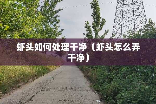 虾头如何处理干净（虾头怎么弄干净）