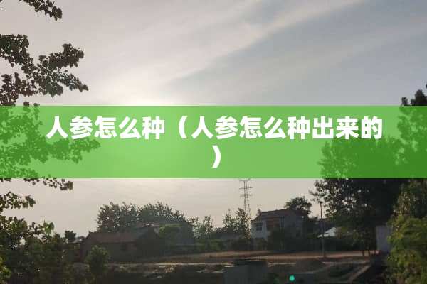 人参怎么种（人参怎么种出来的）