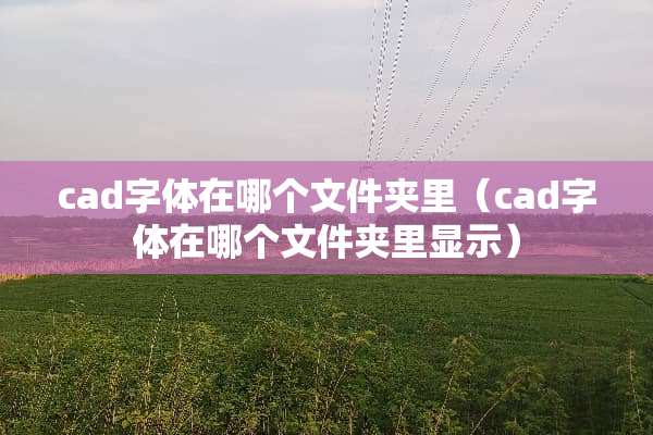 cad字体在哪个文件夹里（cad字体在哪个文件夹里显示）