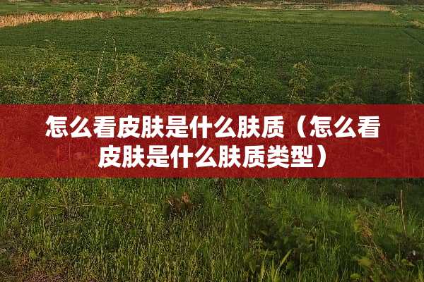 怎么看皮肤是什么肤质（怎么看皮肤是什么肤质类型）