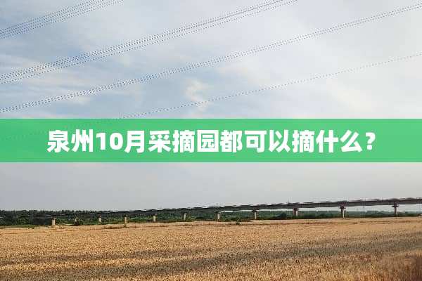 泉州10月采摘园都可以摘什么？