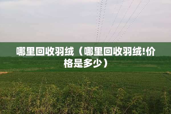 哪里回收羽绒（哪里回收羽绒!价格是多少）