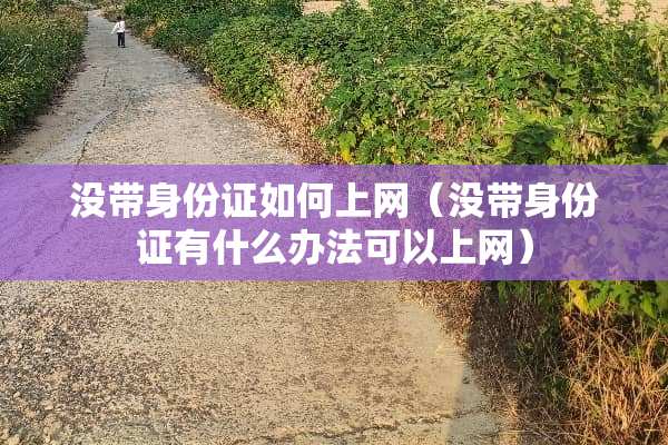 没带***如何上网（没带***有什么办法可以上网）