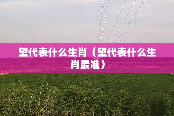 望代表什么生肖（望代表什么生肖最准）