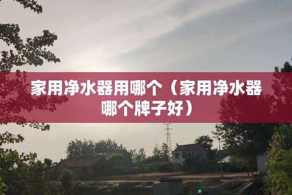 家用***用哪个（家用***哪个牌子好）