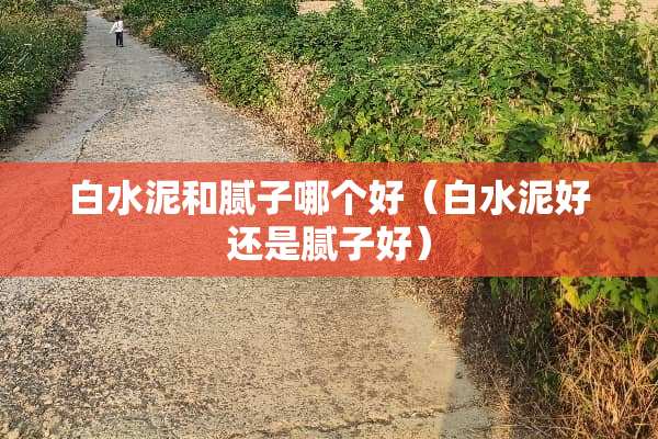 白水泥和腻子哪个好（白水泥好还是腻子好）