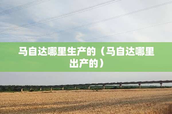***哪里生产的（***哪里出产的）