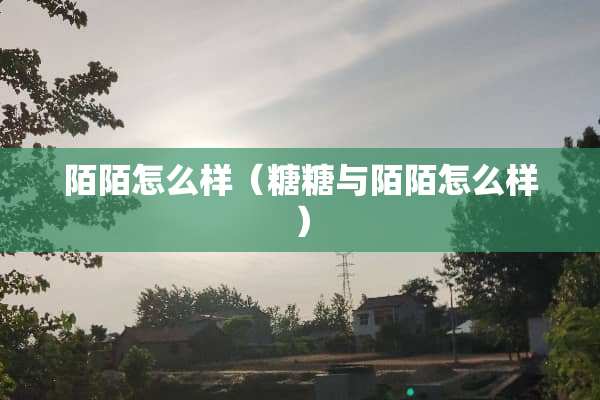 陌陌怎么样（糖糖与陌陌怎么样）