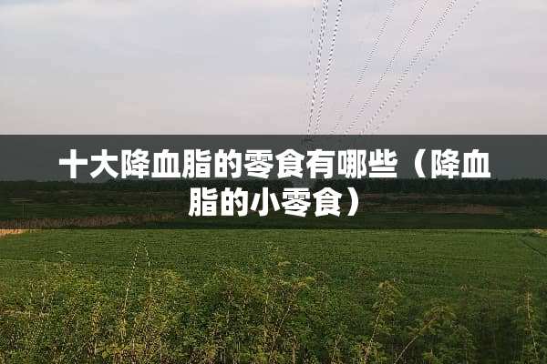 十大降血脂的零食有哪些（降血脂的小零食）