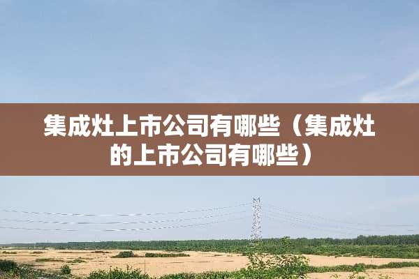 集成灶上市公司有哪些（集成灶的上市公司有哪些）