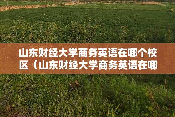 山东财经大学商务英语在哪个校区（山东财经大学商务英语在哪个校区啊）