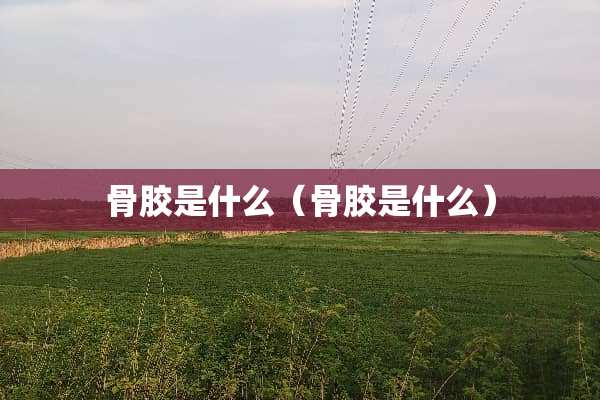 骨胶是什么（骨胶是什么）
