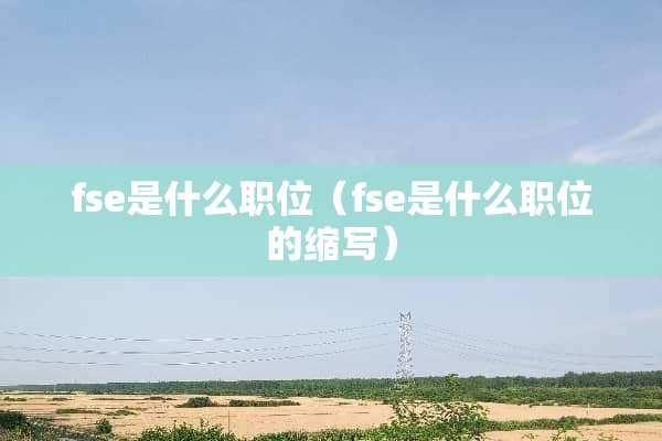 fse是什么职位（fse是什么职位的缩写）