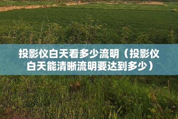 投影仪白天看多少流明（投影仪白天能清晰流明要达到多少）