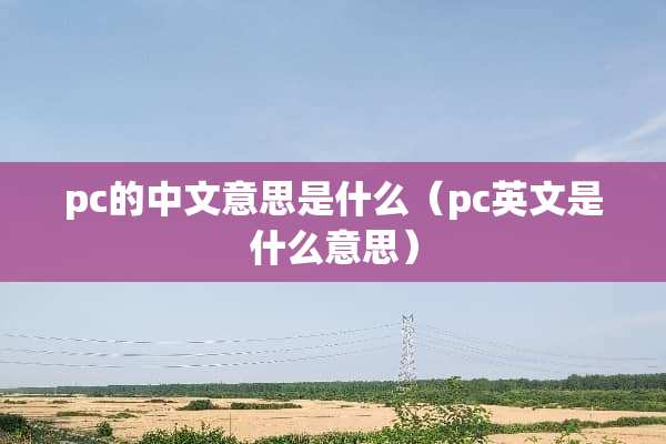 pc的中文意思是什么（pc英文是什么意思）