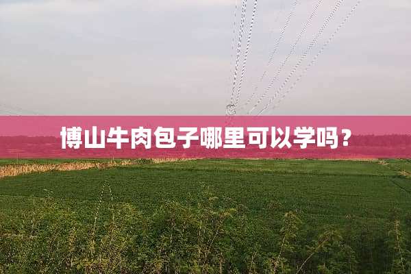博山牛肉包子哪里可以学吗？
