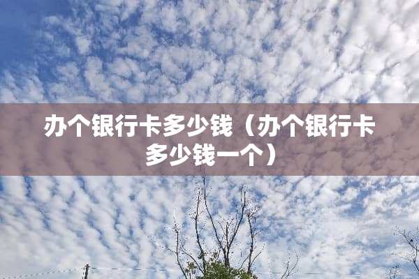 办个***多少钱（办个***多少钱一个）