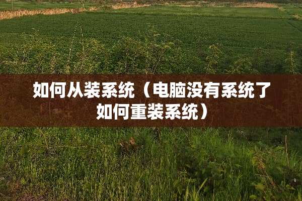 如何从装系统（电脑没有系统了如何重装系统）