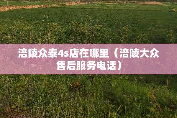 涪陵众泰4s店在哪里（涪陵大众售后服务电话）