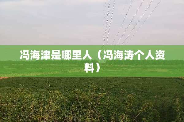 冯海津是哪里人（冯海涛个人资料）