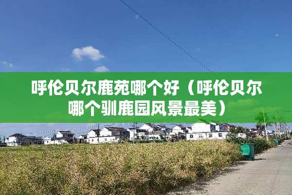 呼伦贝尔鹿苑哪个好（呼伦贝尔哪个驯鹿园风景最美）