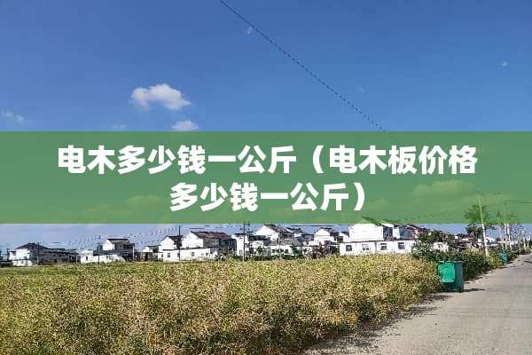 电木多少钱一公斤（电木板价格多少钱一公斤）