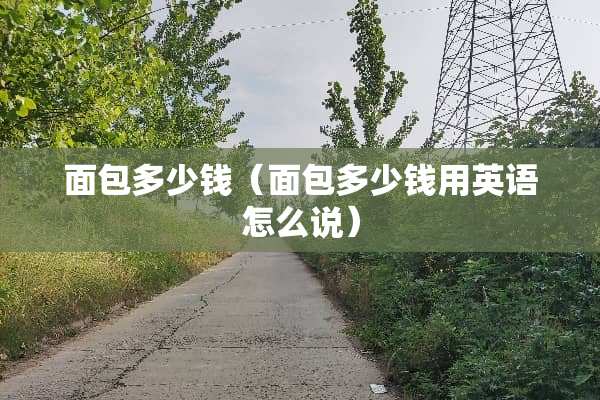 面包多少钱（面包多少钱用英语怎么说）