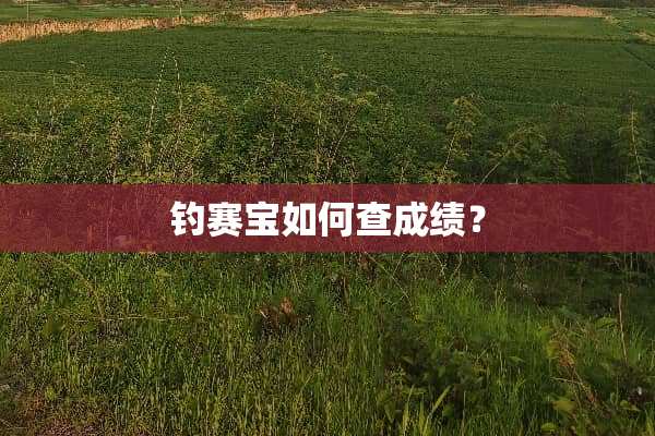 钓赛宝如何查成绩？