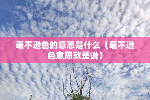 毫不逊色的意思是什么（毫不逊色意思就是说）