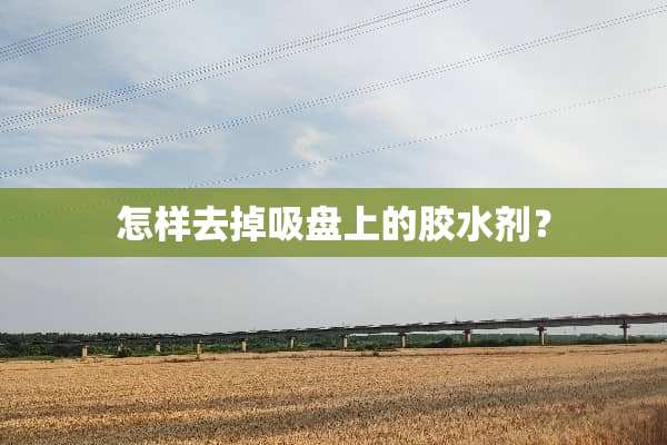 怎样去掉吸盘上的胶水剂？