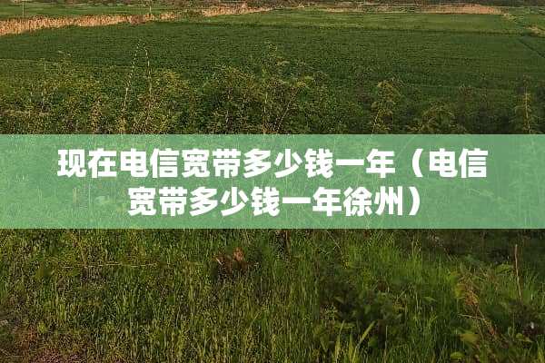 现在电信宽带多少钱一年（电信宽带多少钱一年徐州）