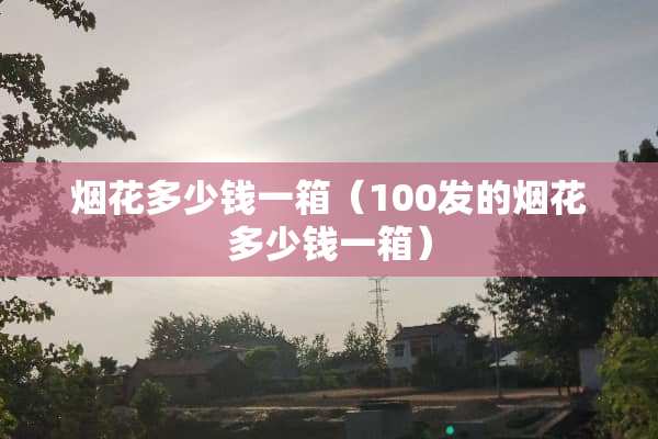 烟花多少钱一箱（100发的烟花多少钱一箱）