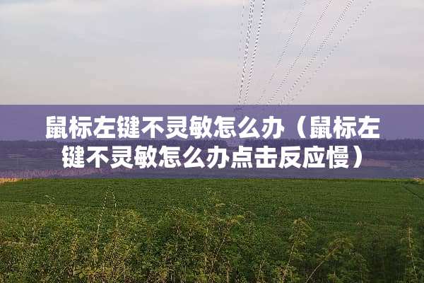 鼠标左键不灵敏怎么办（鼠标左键不灵敏怎么办点击反应慢）
