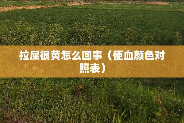 拉屎很黄怎么回事（便血颜色对照表）