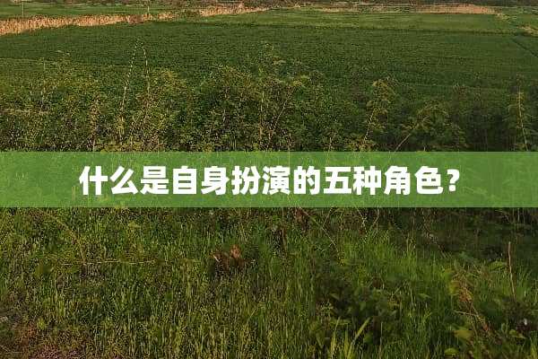 什么是自身扮演的五种角色？