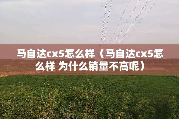 ***cx5怎么样（***cx5怎么样 为什么销量不高呢）