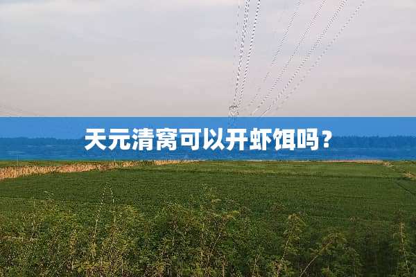 天元清窝可以开虾饵吗？