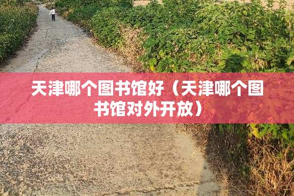 天津哪个图书馆好（天津哪个图书馆对外开放）