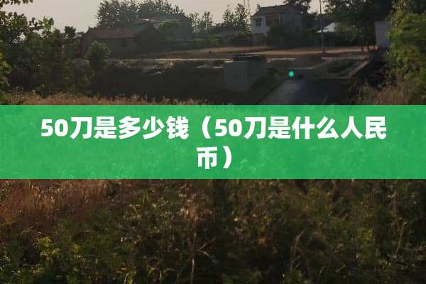 50刀是多少钱（50刀是什么人民币）