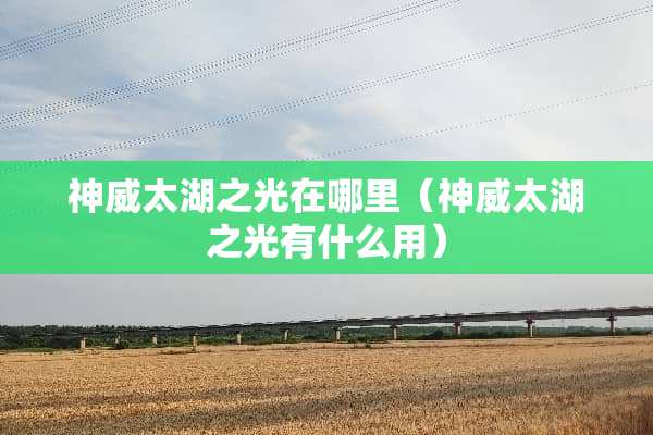 神威太湖之光在哪里（神威太湖之光有什么用）