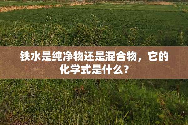 铁水是纯净物还是混合物，它的化学式是什么？