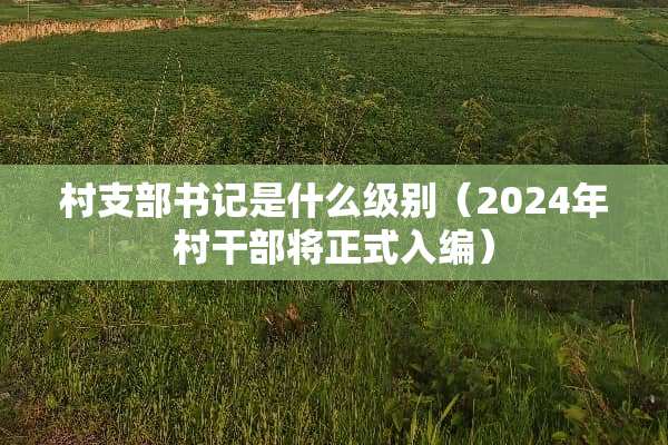 村支部**是什么级别（2024年村干部将正式入编）